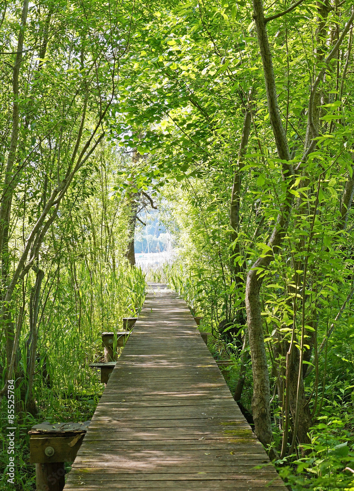 Obraz premium Holzsteg am Tegernsee