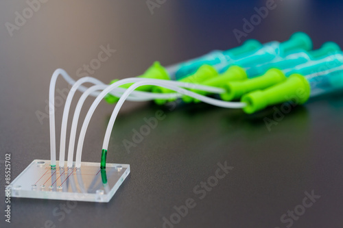 A lab on chip is device integrates several laboratory processes photo