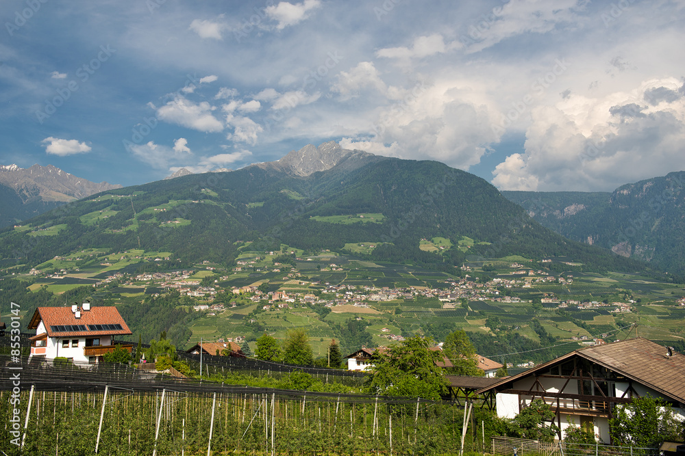Schenna mit dem Großen Ifinger | Südtirol