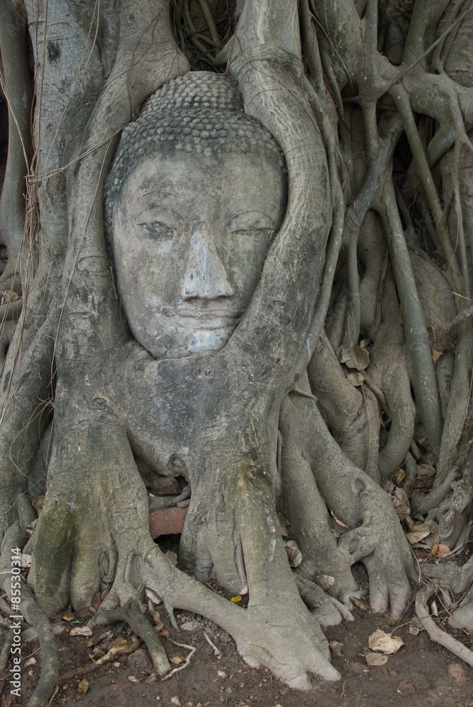 Ruins at Ayutthaya