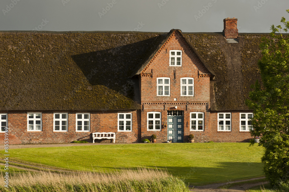 traditional Friesian house with thatched roof at the North Sea coast, Germany, Europe