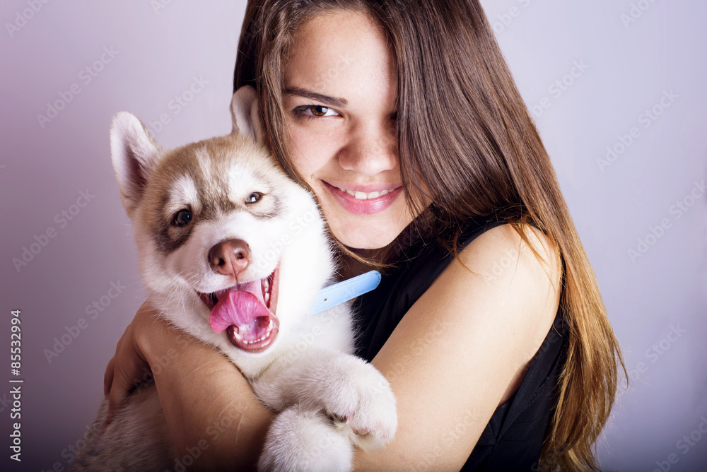 young caucasian female playing with a puppy, girl and siberian husky studio shot on grey background young caucasian female playing with a puppy, girl and siberian husky studio shot on grey background