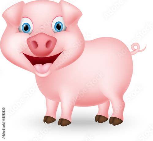 Cute pig cartoon