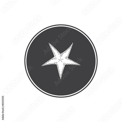 Sea star icon