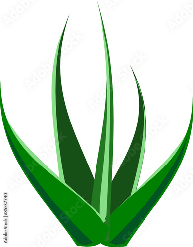 Jungle plant svg. file 14 kb 12 parts 