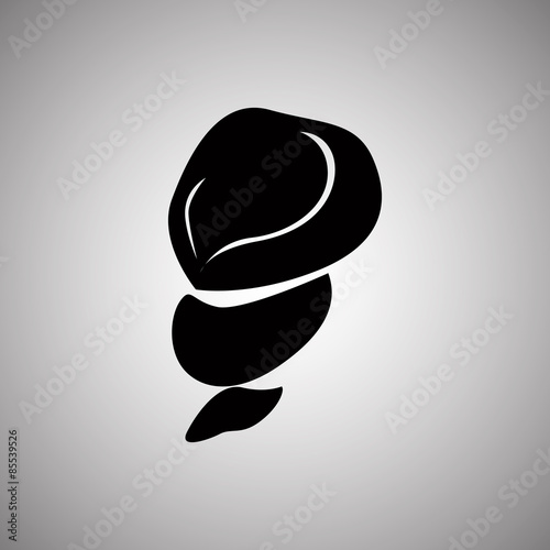 Shell icon