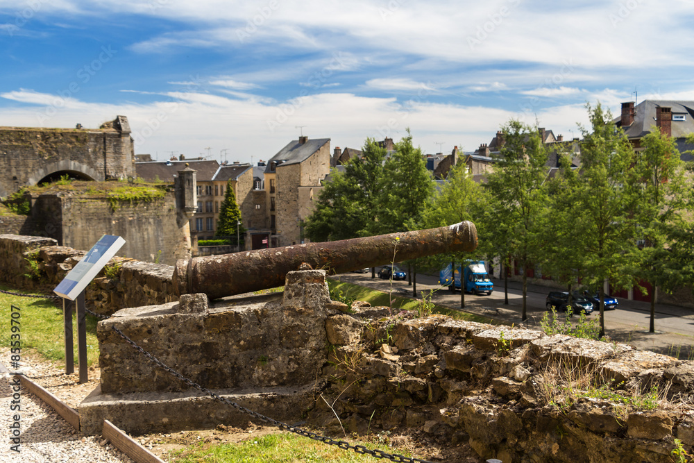 Early summer in Champagne, France