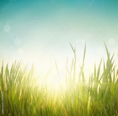 Spring grass