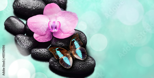 Fototapeta Naklejka Na Ścianę i Meble -  Flower orchid and butterfly