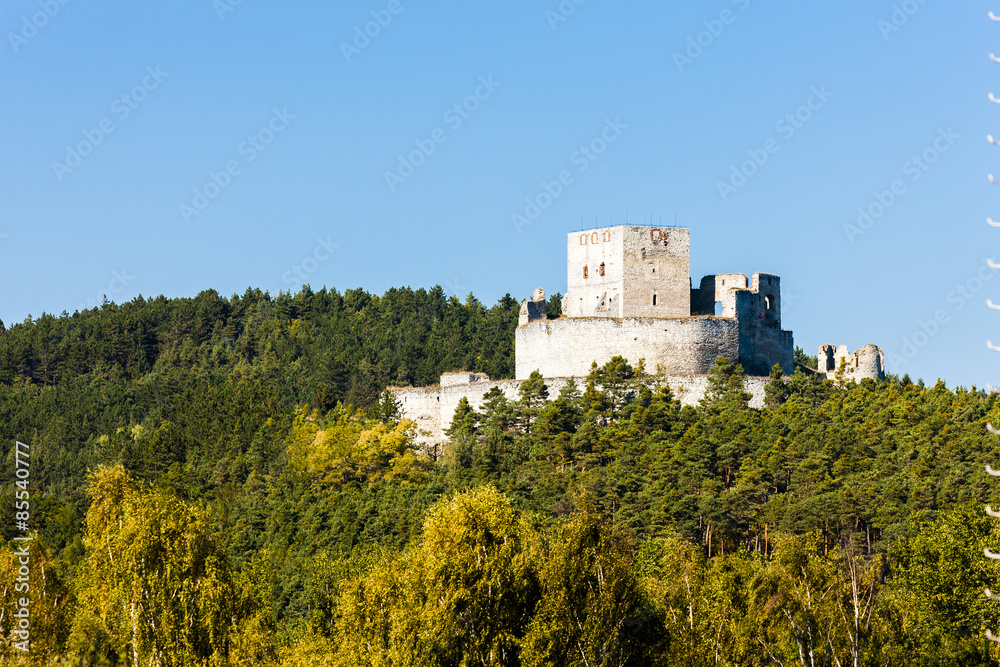 ruins of Rabi Castle, Czech Republic