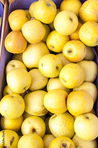 apples, market in Forcalquier, Provence, France