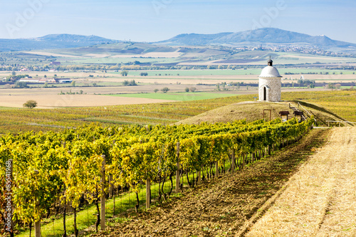 chapel with vineyard near Velke Bilovice, Czech Republic