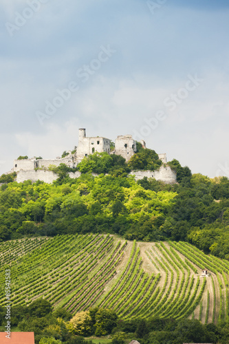 ruins of Falkenstein Castle with vineyard  Lower Austria  Austri