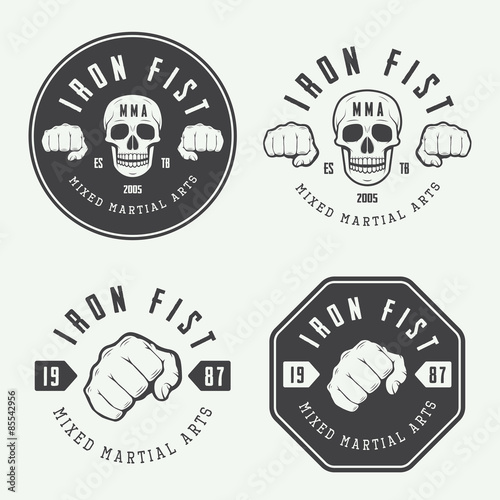 Set of vintage mixed martial arts logo, badges and emblems. Vector illustration