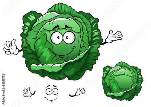Cartoon crunchy cabbage vegetable character