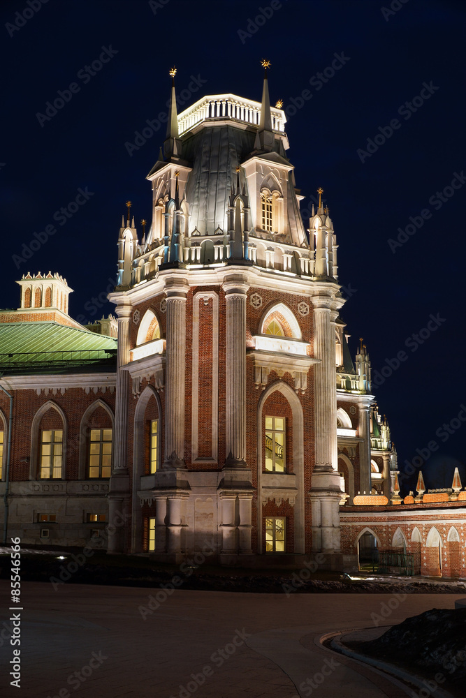 Fototapeta premium Дворцовый комплекс Царицыно ночью. Башня. Москва.