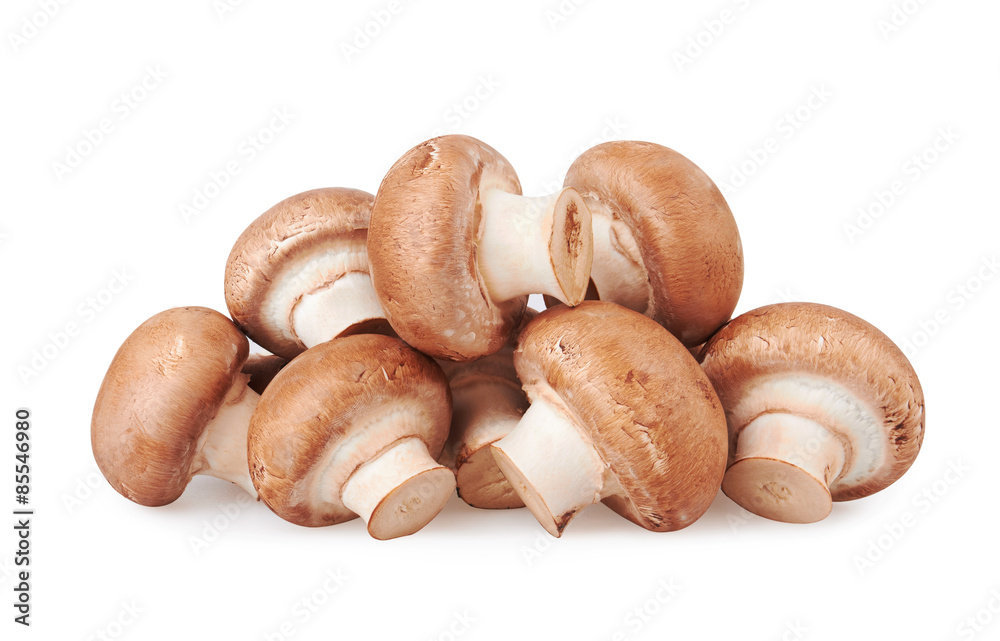 Champignon Mushroom Champignon Mushroom