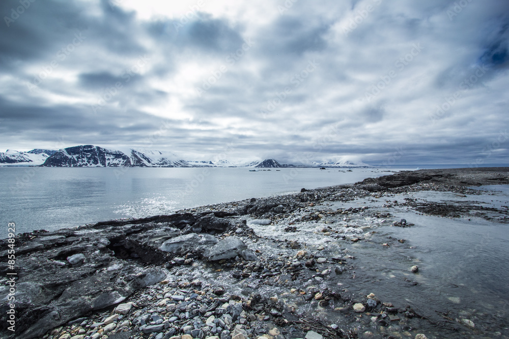Arctic spring in south Spitsbergen Arctic spring in south Spitsbergen