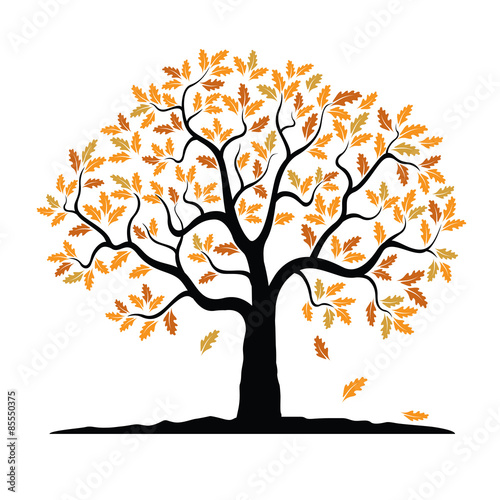 Vector Autumn Oak Tree