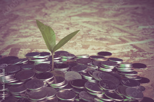 plant growing out of coins with filter effect retro vintage styl © Nattapol_Sritongcom