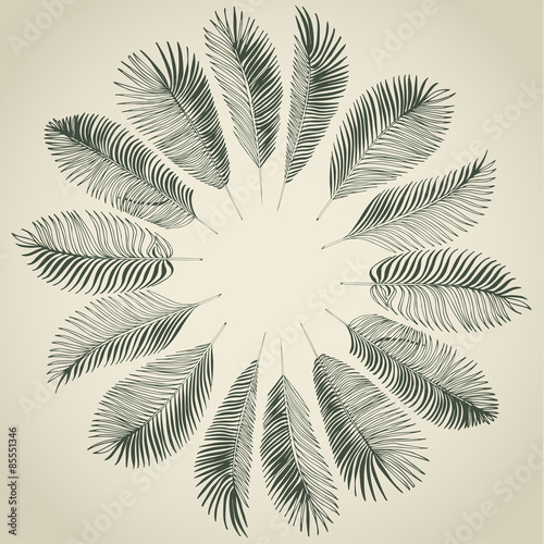 Hand drawn background of palm leaves