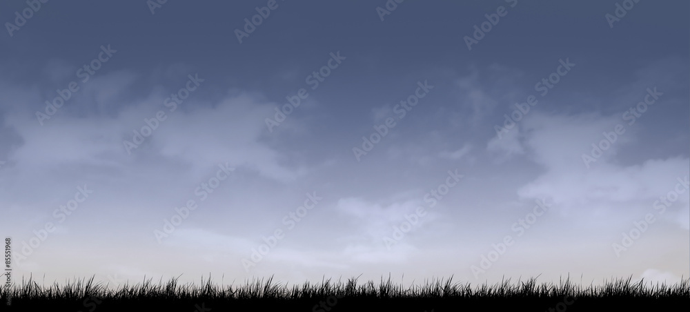 Fototapeta premium Full moon with night sky silhouette background