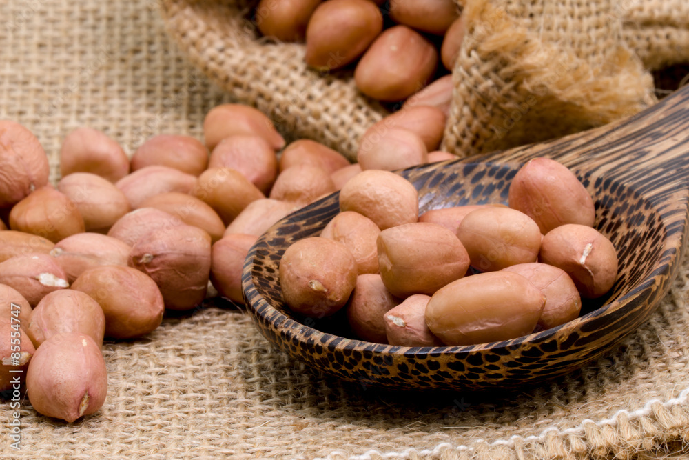 No shell dry peanut in wooden spoon and sack No shell dry peanut in wooden spoon and sack