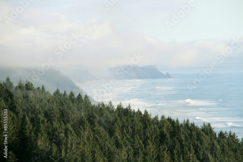Oregon coastline in Yachats, OR.