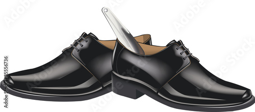 scarpe eleganti con calzascarpe