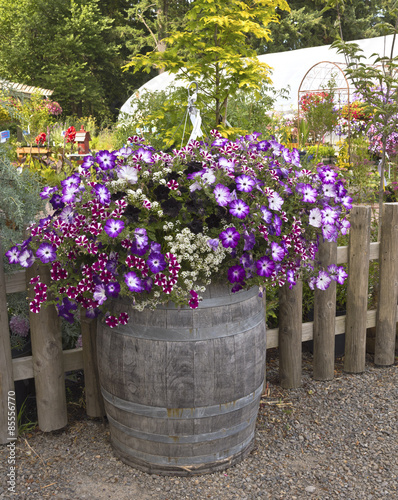 Farm and garden nursery in Canby Oregon. photo