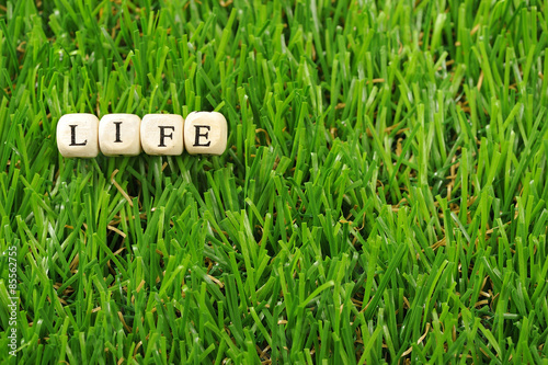 Obraz na płótnie 木製のブロックで組み合わせたアルファベットのlifeという文字