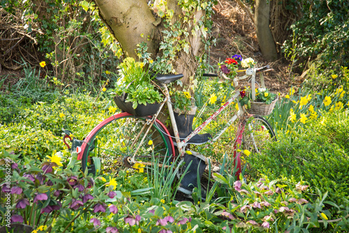 Bicycle as a garden ornament.