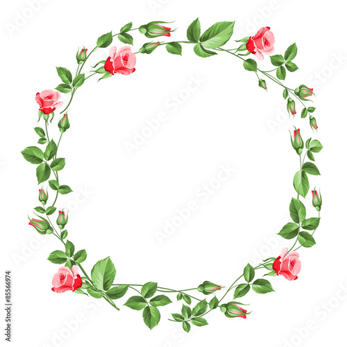 Rose wreath isolated on white.