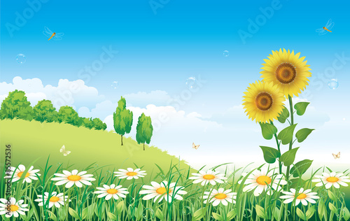 Natural landscape