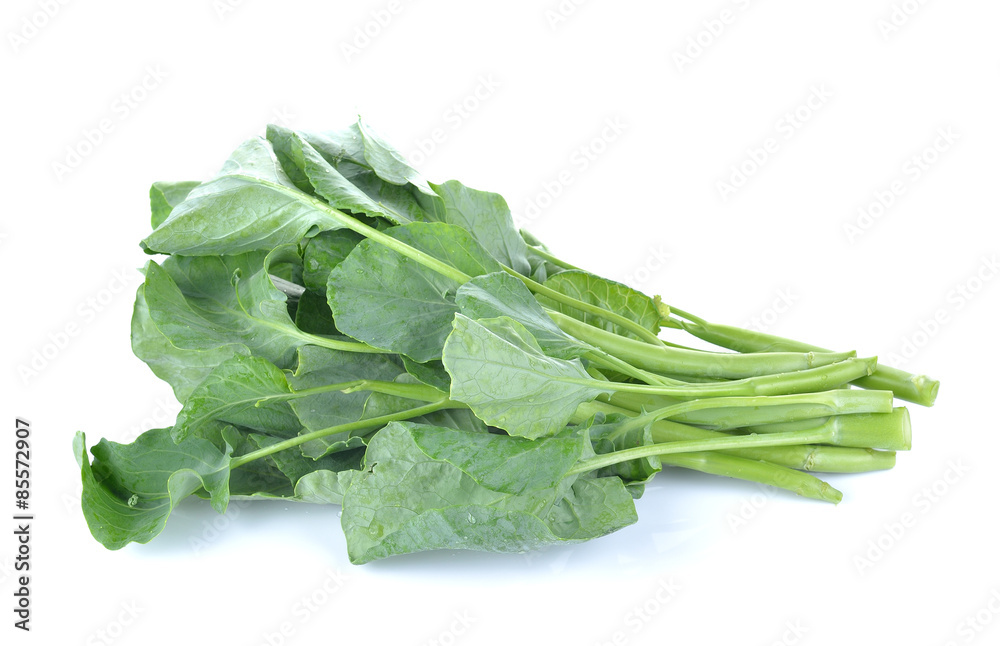 chinese broccoli on white background chinese broccoli on white background