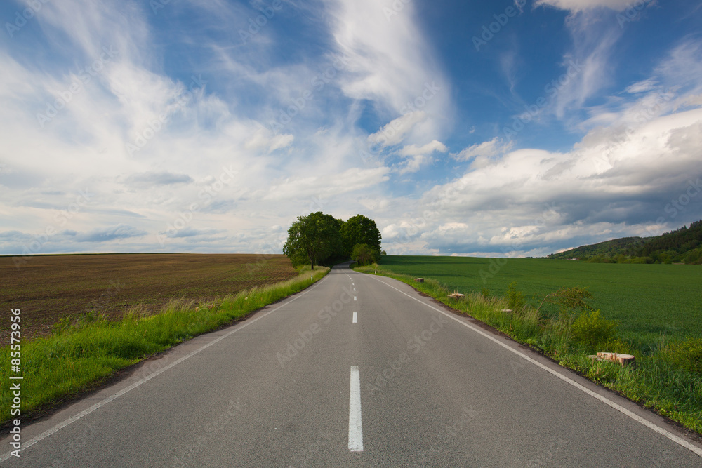 Fototapeta premium Empty road between summer field at sunset