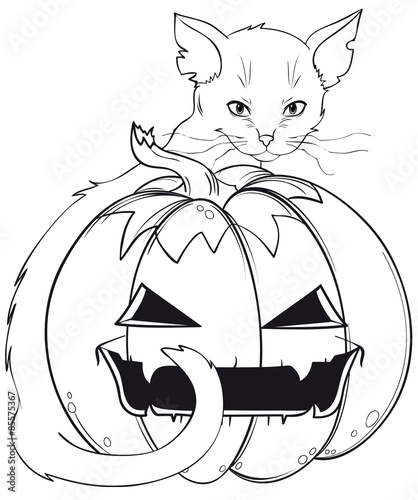 Kater und Kürbislaterne 