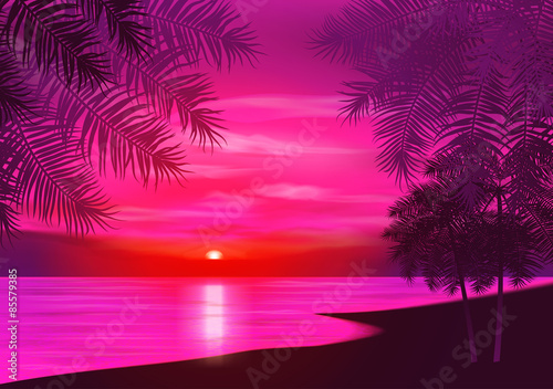 Summer night. Palm trees on the background of sunset. Vector