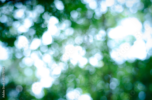 Abstract nature blur