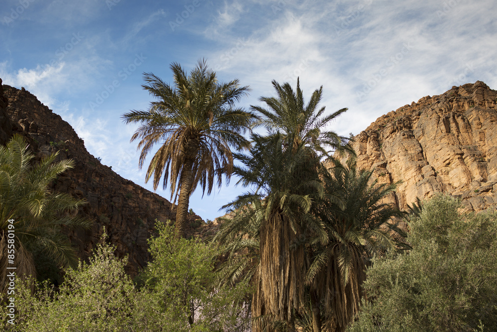 amtoudi gorge morocco