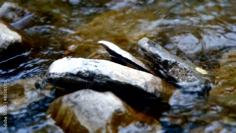 rivière