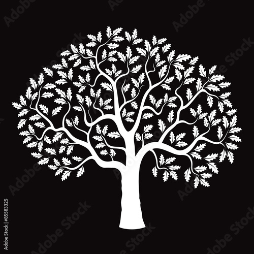 White Vector Oak Tree on black background.