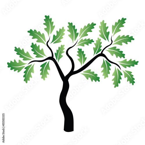Vector Young Green Oak Tree