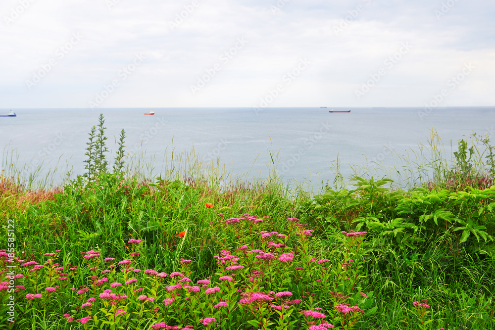 Fototapeta premium Blooming seafront city