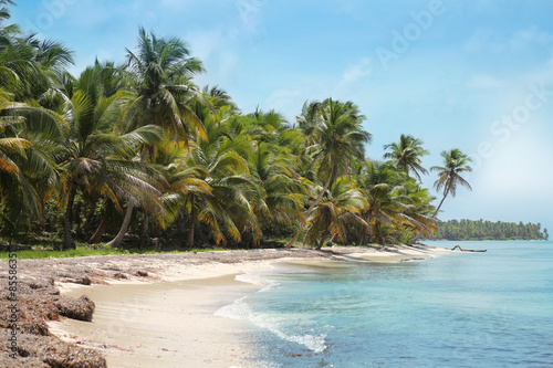Tropical beach in caribbean sea photo