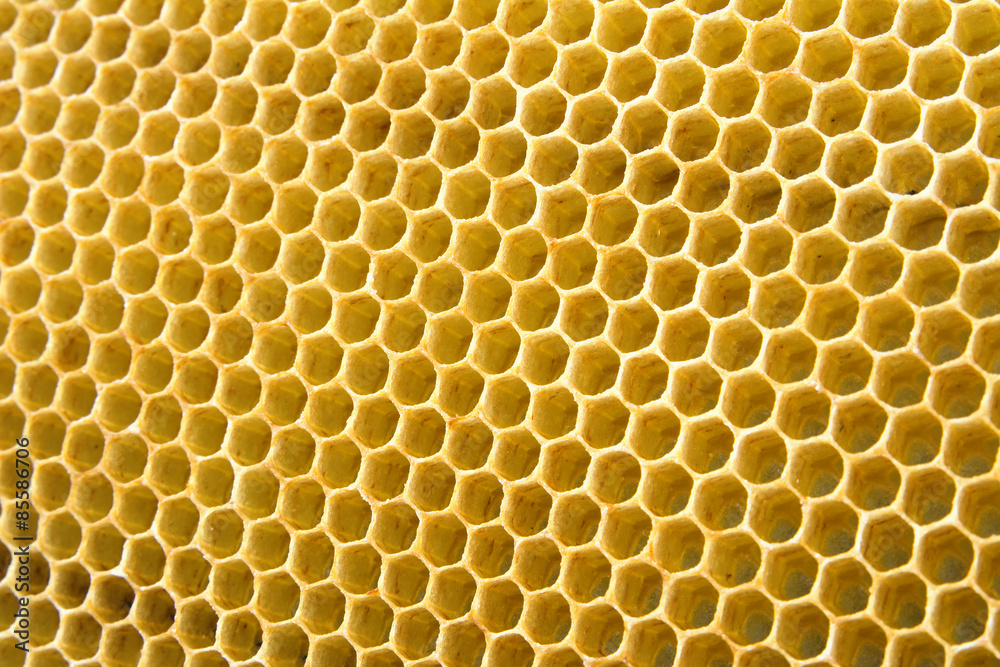 honeycomb