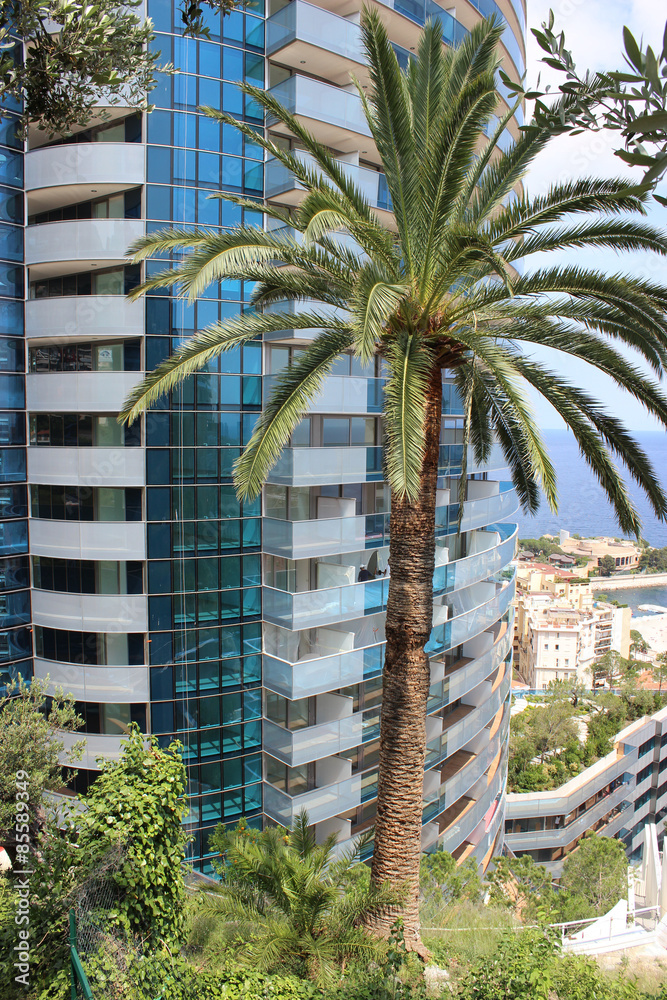 Obraz premium Palm Tree in front of a Luxury Building