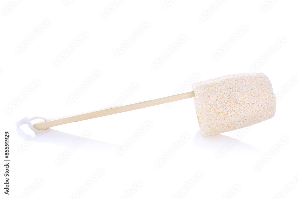 Obraz premium Loofah - natural fiber for body scrubbing