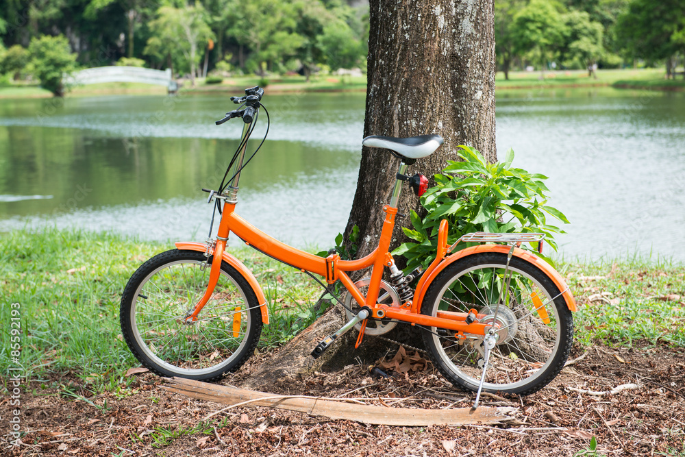 orange folding bicycles in park