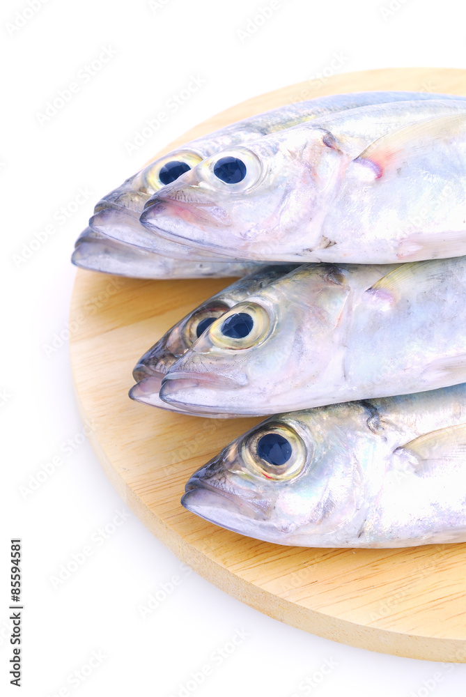 Fresh mackerel fish on the white background